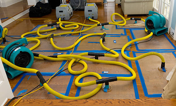 Professional Water Damage Repair technician working in Old Fort, TN